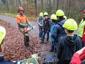 2013-11-19 - Waldtag